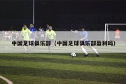 中国足球俱乐部（中国足球俱乐部盈利吗）